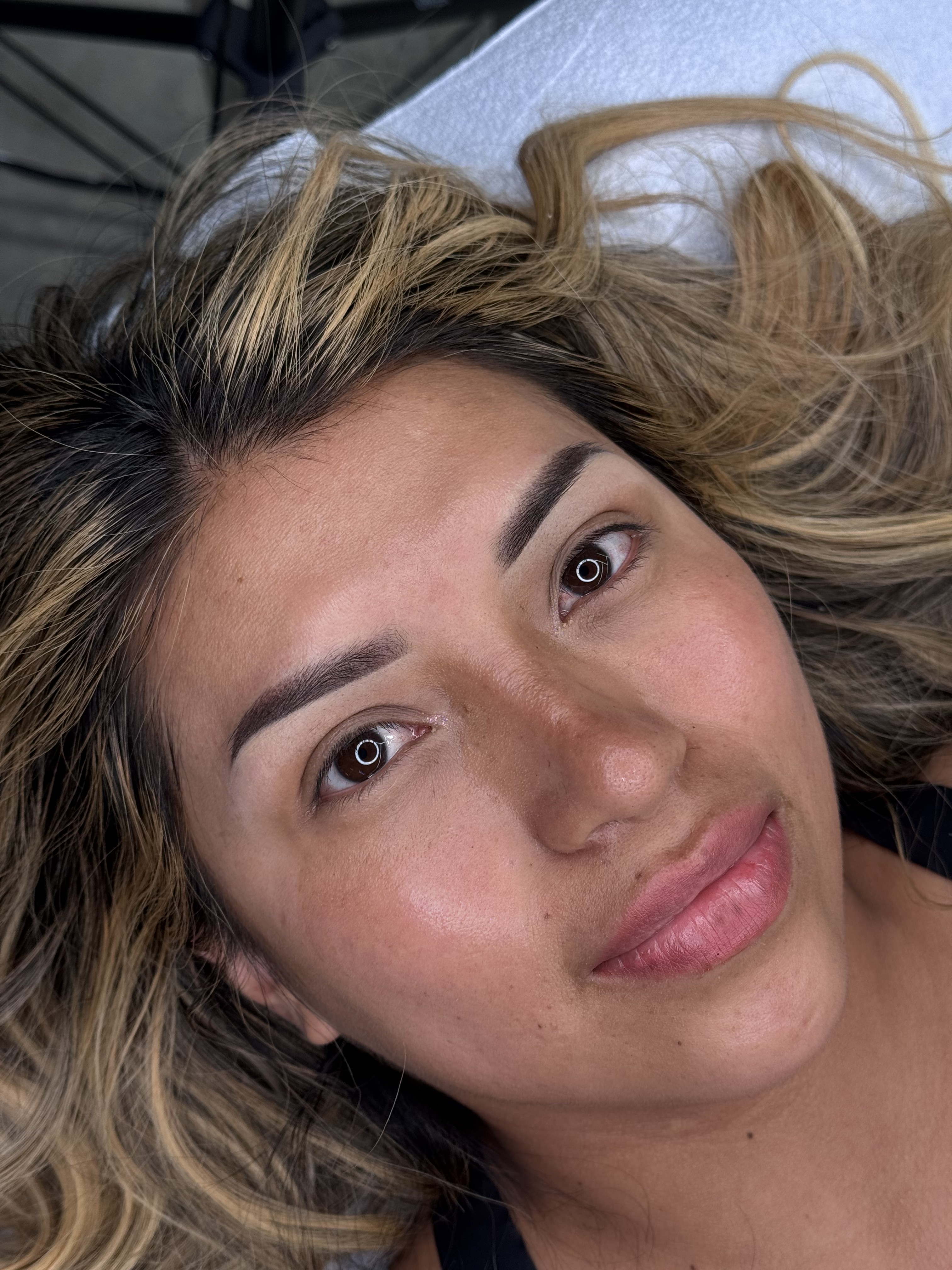 Brows with a soft powder effect
